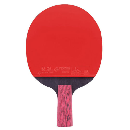 Double Happiness DHS Professional Star Diamond Table Tennis Racket Single Shot All-Purpose Pen-hold Cyclone D01-S Crimson With Case