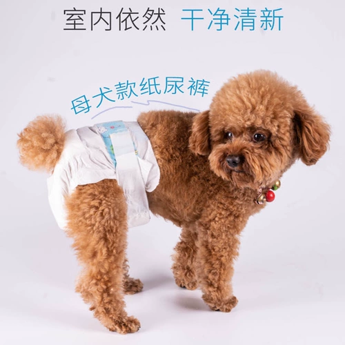Собаки одноразовых физиологических штанов Женская собака моча не влажная менструальная тетя полотенце плюшевые менструальные штаны