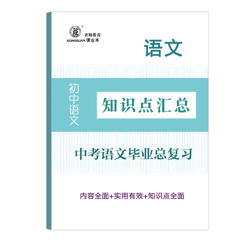 中学语文毕业总复习中考语文知识点汇总毕业总复习初中语文知识点总复习练习单元期末总复习专项训练 - 图0