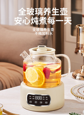 110V养生壶多功能花茶壶