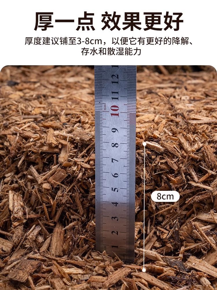 爬宠树皮垫材保湿雨林森林地表除臭分解守宫陆龟蛇饲养箱地垫自然-图0