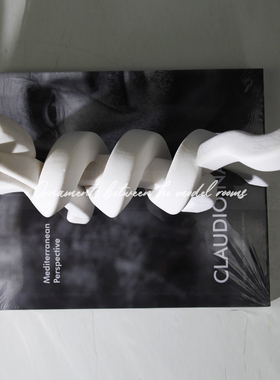 设计师样板间同款创意装饰摆件