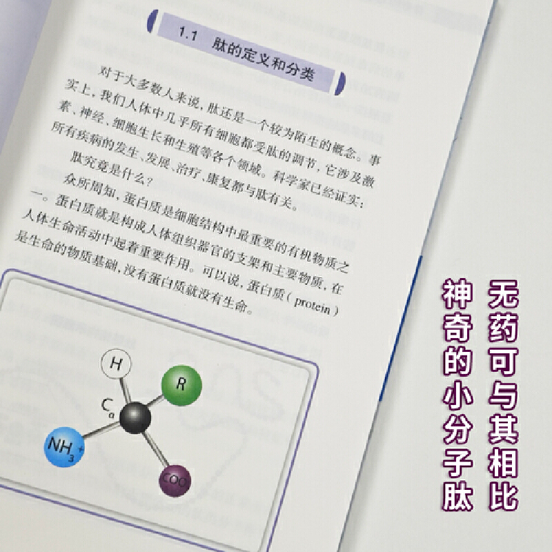 神奇的小分子活性肽丛峰松生物肽临床营养学免疫力保健书籍胶原蛋白质肽美容身体调理康复指南肽营养学与健康益生菌增强提高功能-图1