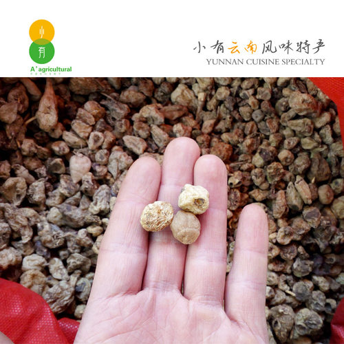 云南小白芨干圆白芨白及自然晒干深山非三叉种植白芨药材100g - 图0