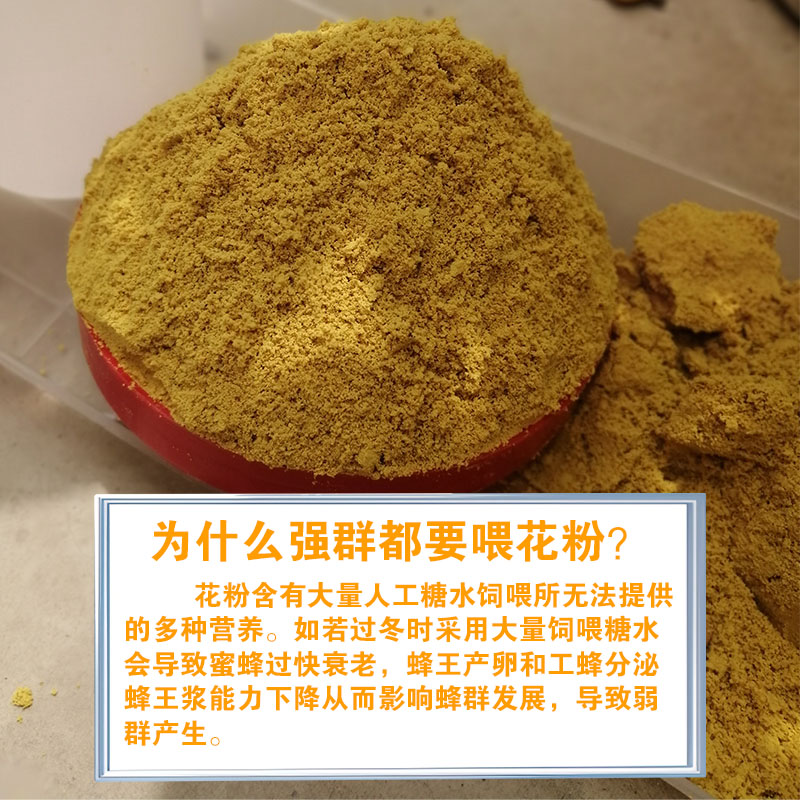 油菜花粉喂蜂包邮蜂花粉中蜂专用天然蜜蜂饲料花粉末意蜂养蜂蜂粮 - 图1