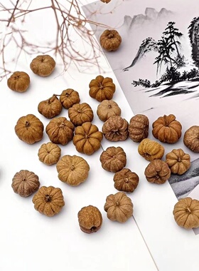 天然植物果实相框发夹diy果子材料植物标本幼儿园干花手工创意