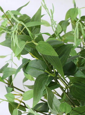 仿真绿植 铁线莲 金银花 婚礼拱门装饰绿叶 花店diy插花 绿色植物