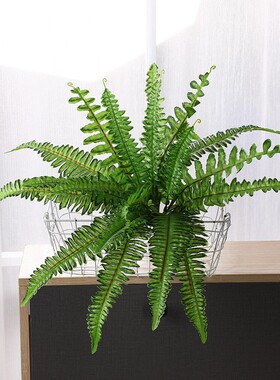 仿真绿植 植物墙 插花 婚庆布展路引花艺 波斯叶蕨叶家居装饰绿叶