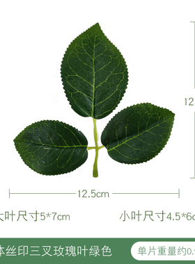 仿真叶爬山虎尤加利森系绿色树叶