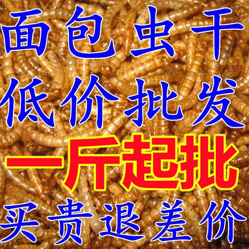 山东面包虫黄粉虫烘干面包虫干仓鼠龙鱼鸟类饲料一斤包邮 - 图0