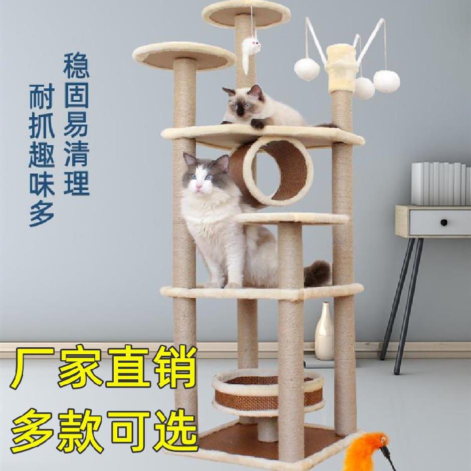 大中小猫小猫推荐品牌 新人首单立减十元 21年6月 淘宝海外 大中小猫小猫推荐品牌 新人首单立减十元 21年6月 淘宝海外