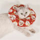 Elizabeth Circle Cat Soft Cloth Shame Collar Pet Dog