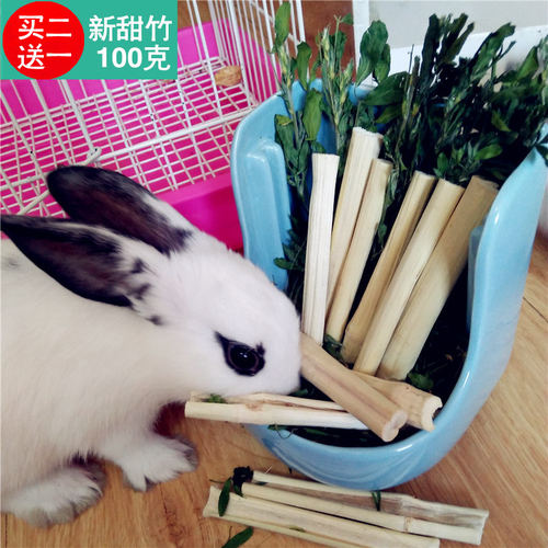 甜竹兔子磨牙专用磨牙棒仓鼠荷兰猪豚鼠龙猫小宠用品磨牙木零食 - 图0
