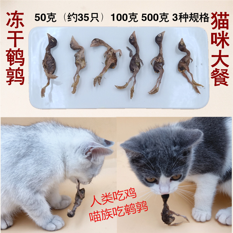 冻干小鹌鹑猫零食宠物猫咪营养增肥发腮冻干肉猫粮生骨肉k9SC500g-图0