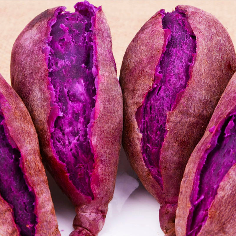 新鲜农家自种包邮10斤板栗红薯 沁园春水果番薯