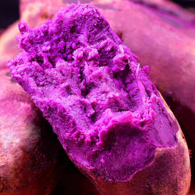 新鲜农家自种包邮糖心蜜薯板栗红薯 沁园春水果番薯