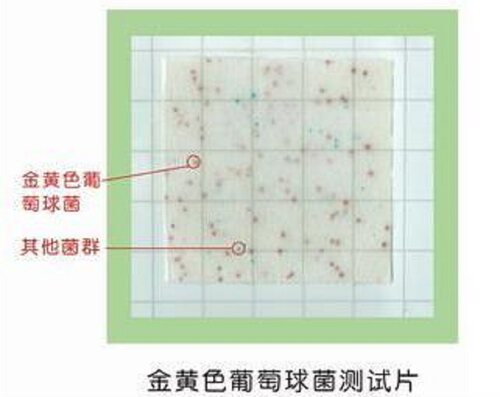 金黄色葡萄球菌测试片达元绿洲生化金葡测试纸片快速检测纸片试纸 - 图0