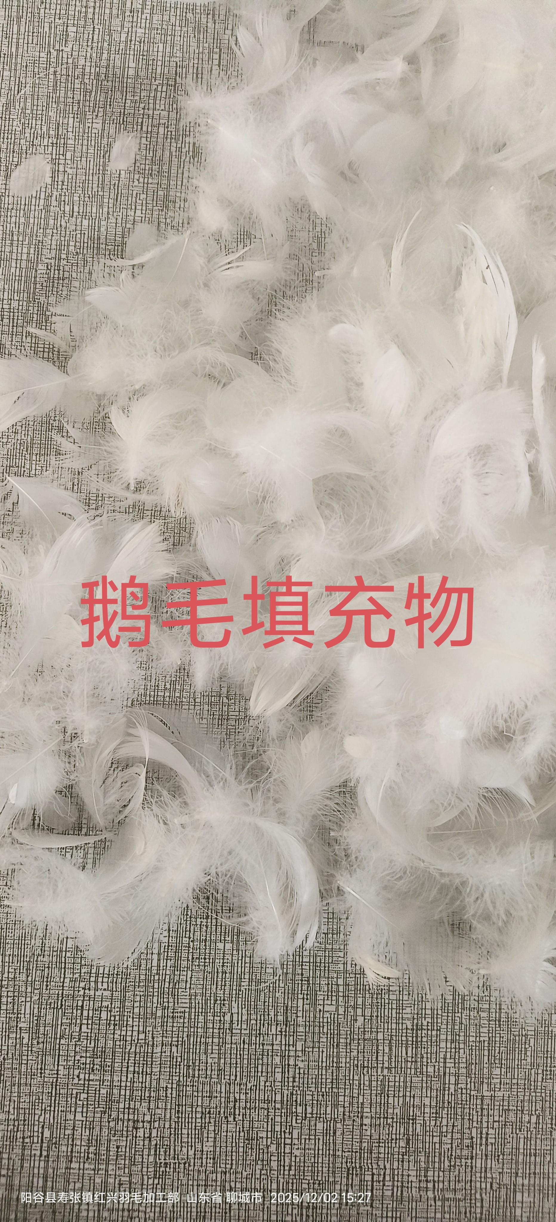 全棉鹅毛羽绒枕芯枕头双人单人睡眠中高枕头家用宿舍枕头,淘宝优惠券,粉丝福利购,淘宝优惠卷