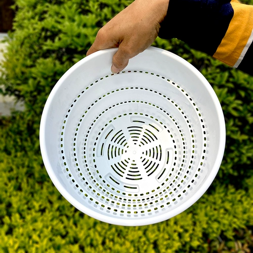 Цингшан контрольный корень корень горшок пластик сгущенной большой розовый зеленый горшок с галоп -скалопменным переполненным пустым 360 ° дышащая роза