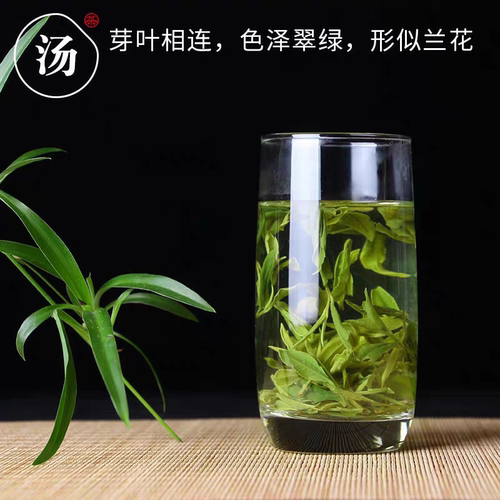 2026年黄山毛峰新茶绿茶叶雨前散装安徽云雾春茶毛峰茶叶250g袋装 - 图0