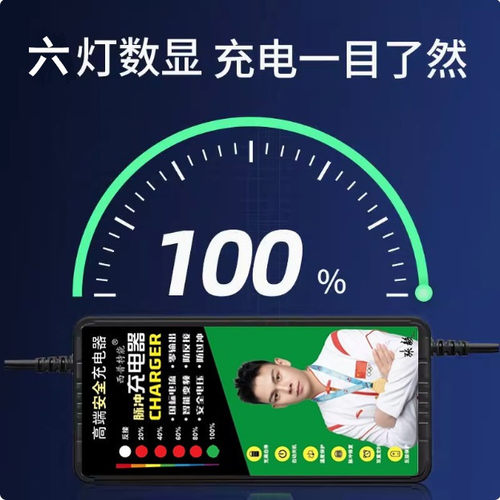 适用绿源电动车48V12AH60V20AH72VT铅酸两竖原装版充电器自动断电 - 图1