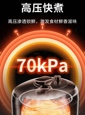 苏泊尔电压力锅5L双胆球釜智能