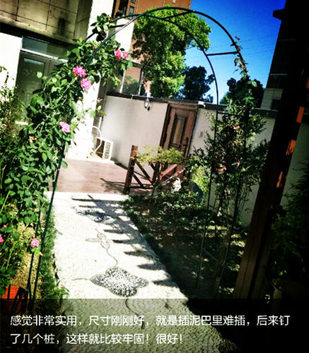 拱门花架植物攀藤架园艺支架百香果葡萄丝瓜爬藤架楼顶种菜爬藤 - 图1