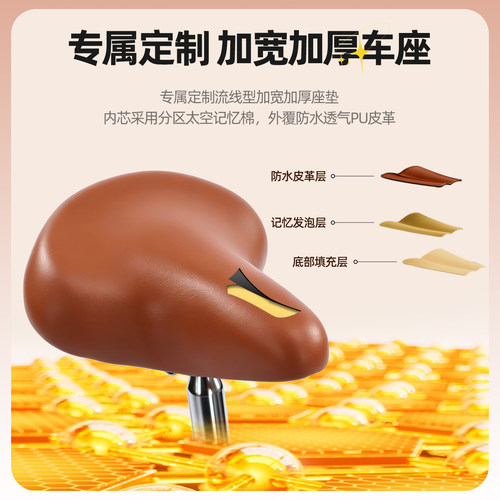凤凰官方20英寸复古折叠型自行车双人便携耐磨城市骑行单车载后座 - 图2