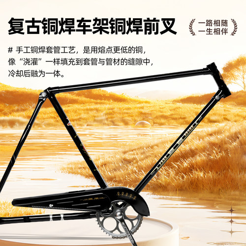 凤凰ZA42型载重加重28寸二八老式复古老年代步通勤休闲重磅自行车 - 图3