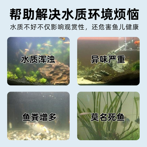SQG硝化细菌鱼缸净水剂氨氮去除剂水质稳定剂分解鱼粪消化活菌液 - 图2