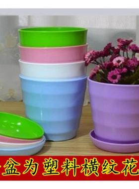 鸿运当头盆栽绿植室内大盆栽凤梨花小红星带盆栽好发货