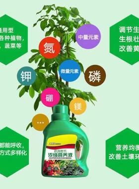 营养液绿植花卉专用浓缩营养液园艺肥料绿萝多肉用营养土绿叶