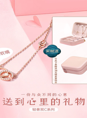 轻奢小众S纯银项炼2025秋