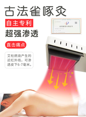 智能明火无烟艾灸仪6-12孔工厂价