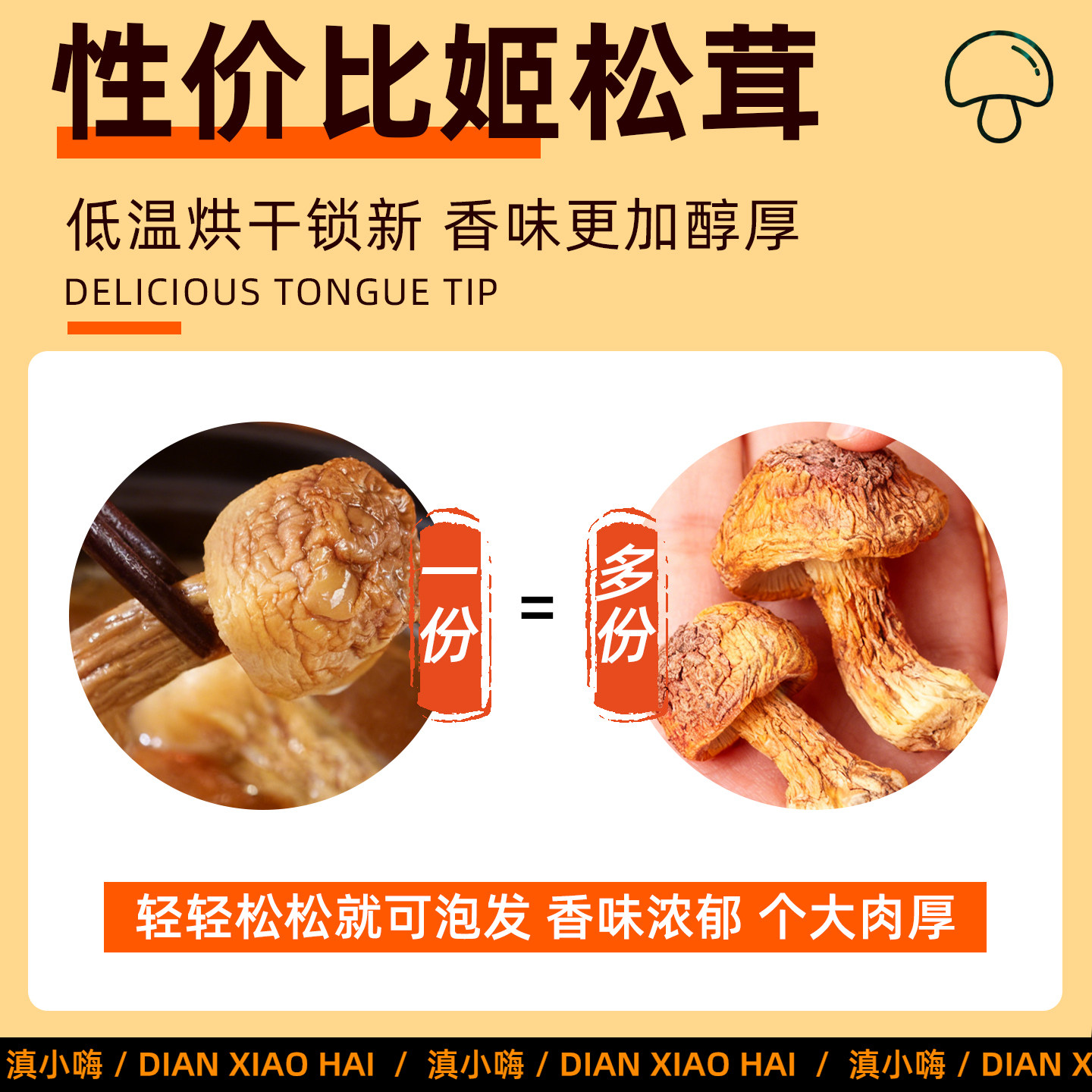 云南新货姬松茸特产级干货非野生煲汤炖鸡年货精选天然菌菇食材,淘宝优惠券,粉丝福利购,淘宝优惠卷