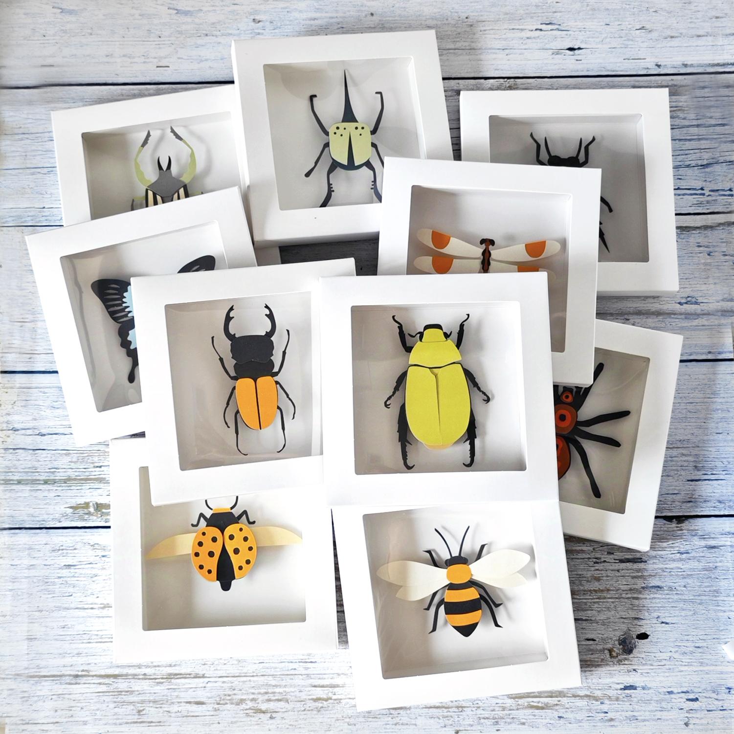 昆虫标本自然生物课学生儿童手工diy制作材料包益智蜘蛛立体艺术 - 图3