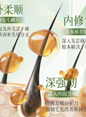 广西壮族茶枯侧柏叶洗发皂