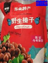 New date Great hazelnut Northeastern Tieling special production 20-mouth 23 Fresh open and thin leather Fried cooked original flavor