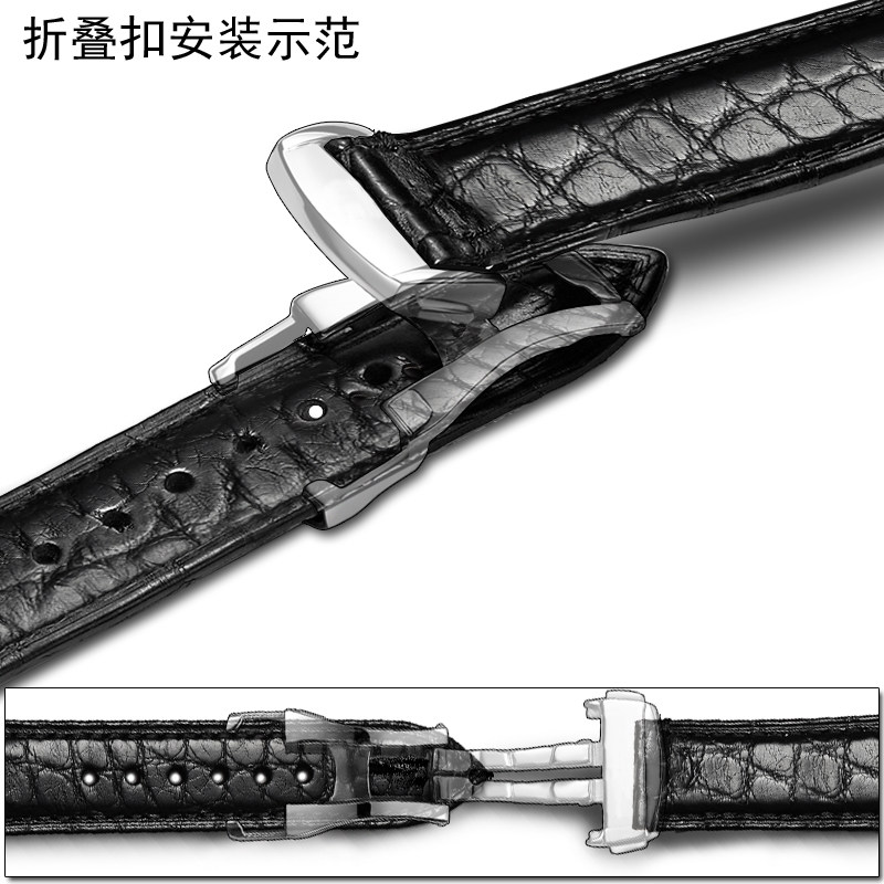 十瑞表带男欧米茄海马蝶飞手表带 十瑞配件