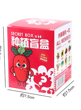 创意儿童种植盲盒小盆栽