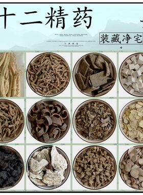 其他中药装藏净宅安神镇宅礼佛