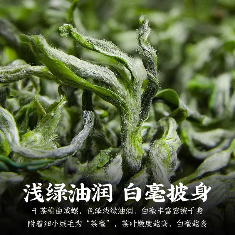 特级蒙顶甘露茶叶自己喝高山绿茶2024新茶老川茶明前茶上等春茶