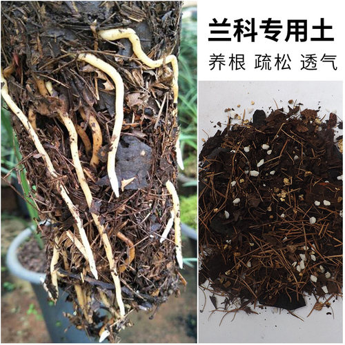 君子兰花土兰花专用土松树皮兰科多肉有机肥腐叶土花卉绿植专用土 - 图0