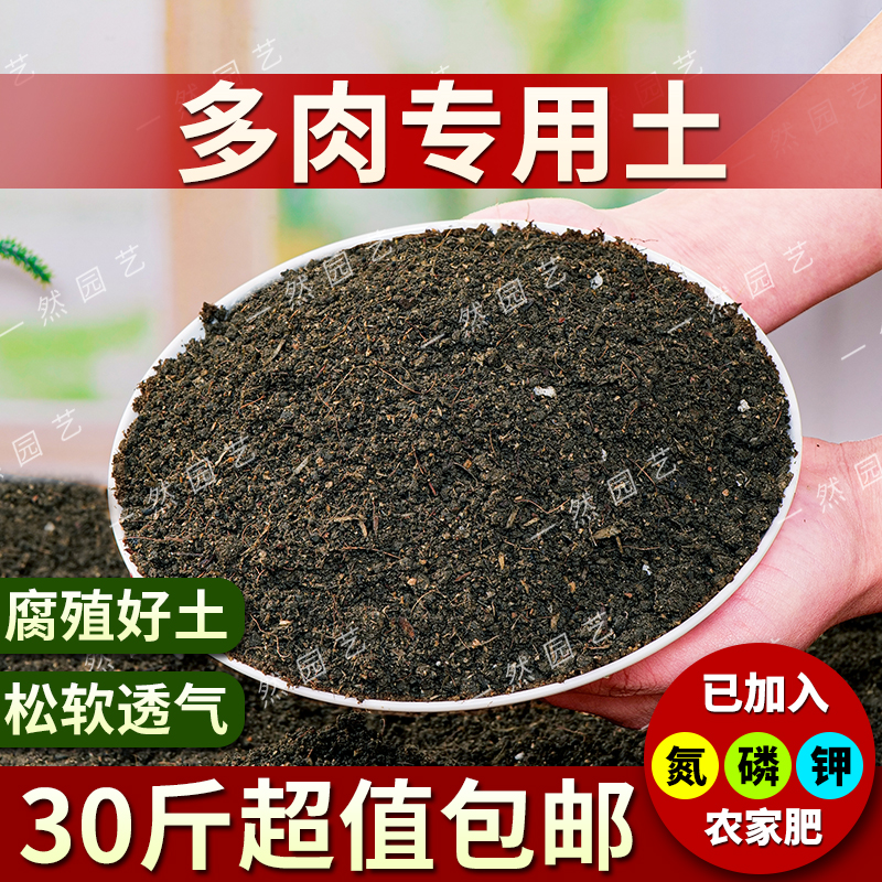 通用型多肉营养土专用土种植养花盆栽泥土多肉家用盆栽有机营养土 - 图1