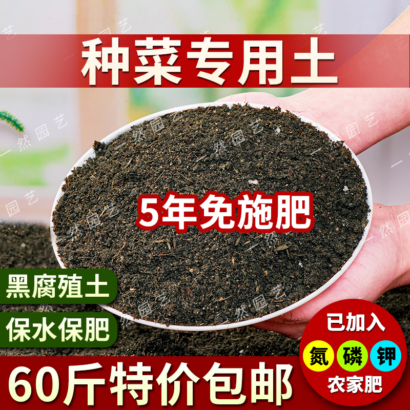 通用种菜营养土种菜专用土种子蔬菜种菜土壤营养土苗圃种植有机土 - 图0