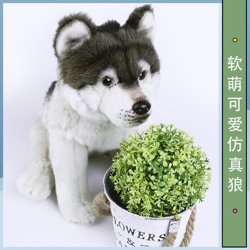 创意仿真狼毛绒公仔可爱卡通个性仿真狼玩具儿童生日礼物玩偶 - 图1