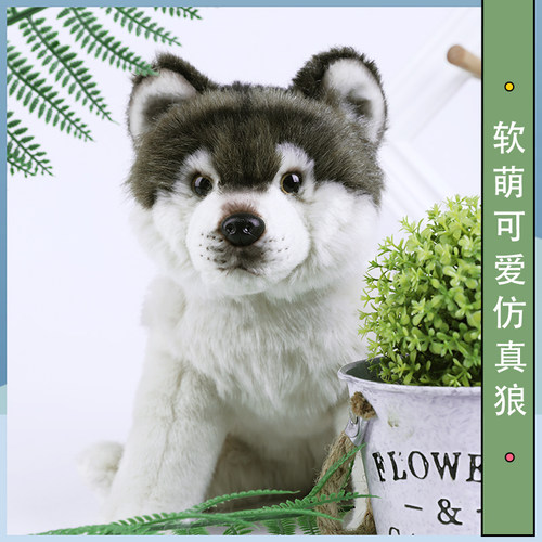 创意仿真狼毛绒公仔可爱卡通个性仿真狼玩具儿童生日礼物玩偶 - 图0