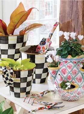 偷花贼嬉皮大青蛙手绘黑白格子