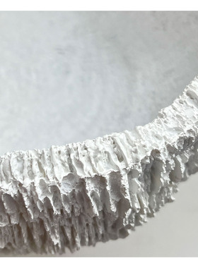 塞舌尔纯净珊瑚礁树脂装饰碗摆件