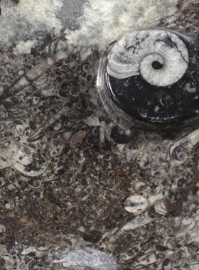 现 纽约下城公园进口悠远的记忆摩洛哥化石大理石盘杯垫6件